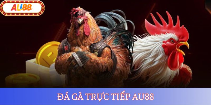Đá Gà AU888 – Giải Trí Chất Lượng Số 1 Hiện Nay