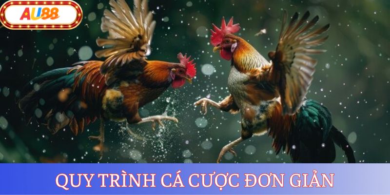Hướng dẫn newbie các bước chơi đá gà AU888 dễ dàng tại nhà